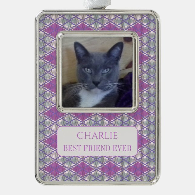 PET LIEBE Gerahmt Vert Ornament + Text / Lilac Str Rahmen-Ornament Silber (Vorderseite)