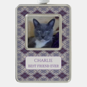 PET-LIEBE Gerahmt Vert Ornament + Text / Strick Rahmen-Ornament Silber