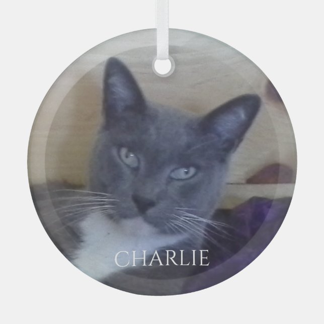 PET LIEBE Glaszirkel Ornament Aus Glas (Vorderseite)