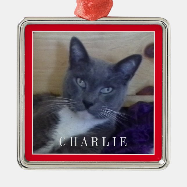 PET LIEBE Premium Square Ornament - Rot Aus Metall (Vorne)
