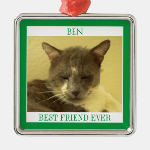 PET LIEBE Premium Square Ornament + Text / Grün Aus Metall