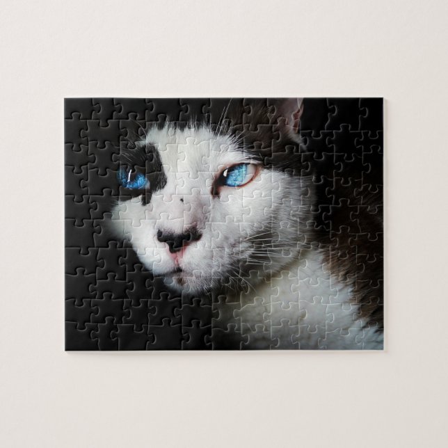 Pet Life | Schwarz-weißes Siamese Cat Blue Eyes Fo (Horizontal)
