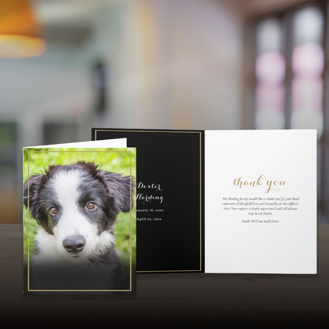 Pet Loss Beileid Foto Gold Frame Dankeskarte (Pet Loss Sympathy Photo Gold Frame Thank You Card)