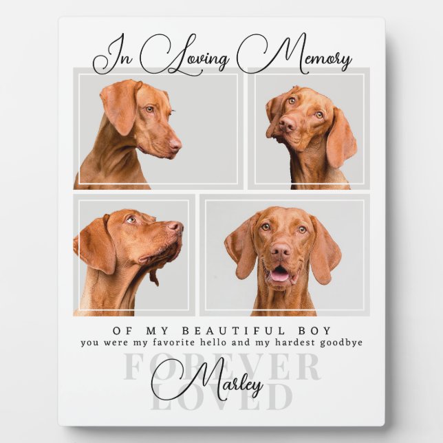 Pet Loss Geschenk Hund Katze Memorial Foto Collage Fotoplatte (Vorderseite)