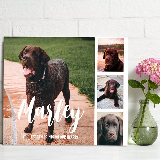 Pet Loss individuelle FotoCollage Fotoplatte (Von Creator hochgeladen)