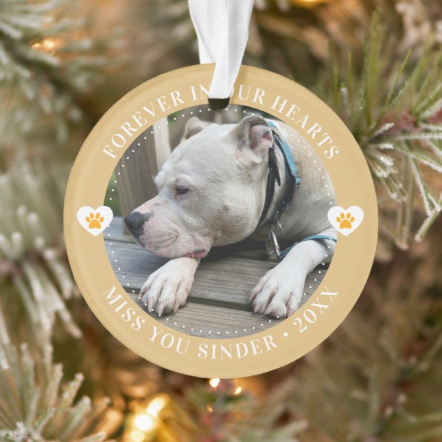 Pet Loss Memorial Keepsaké Photo moderne (Arbre)