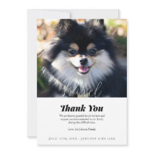 Pet Loss Vielen Dank Sympathie Karte