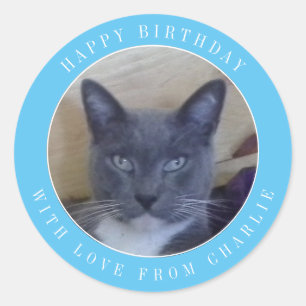 PET LOVE Autocollants Anniversaire Ronds Grands / 