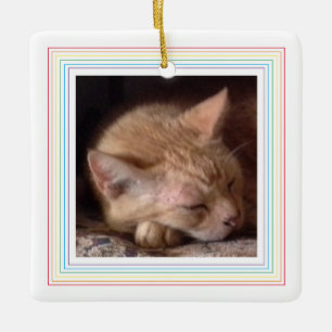 PET LOVE Keramik Quadrat Ornament / Regenbogen