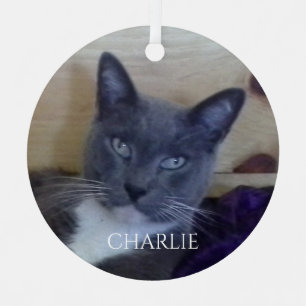 PET LOVE Metall Kreis-Ornament Ornament Aus Metall