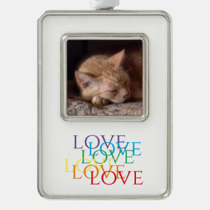 PET LOVE Vertikaler gerahmter Fotoanhänger Rahmen-Ornament Silber
