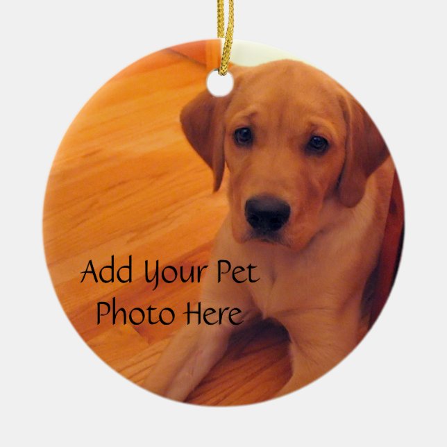 Pet Lover Animal Foto Ornament (Vorne)