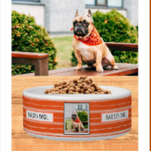 Pet Lovers Orange Stripes Foto Name