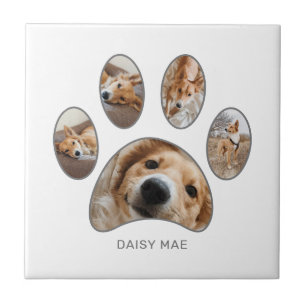 Pet Lovers Silver Paw Print Collage Custom Fliese