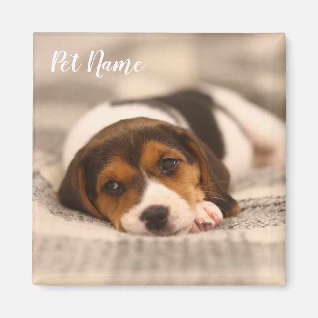 Pet-Magnet mit Foto und Name individuell anpassen Magnet (Vorne)
