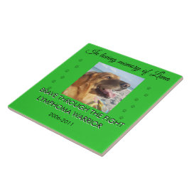 Pet Memorial 1 Photo - Brave Through The Fight  Fliese