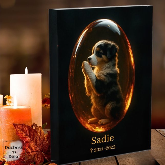 Pet Memorial Australian Shepherd Amber Canvas  Leinwanddruck (Pet Memorial Australian Shepherd Amber Art Print)