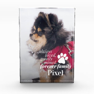 Pet Memorial Beileid Pet Loss Foto Block