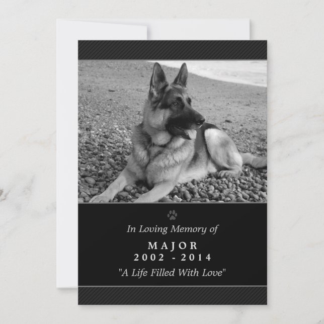 Pet Memorial Card 12x18 Black Rainbow Bridge Femal Ankündigung (Vorderseite)