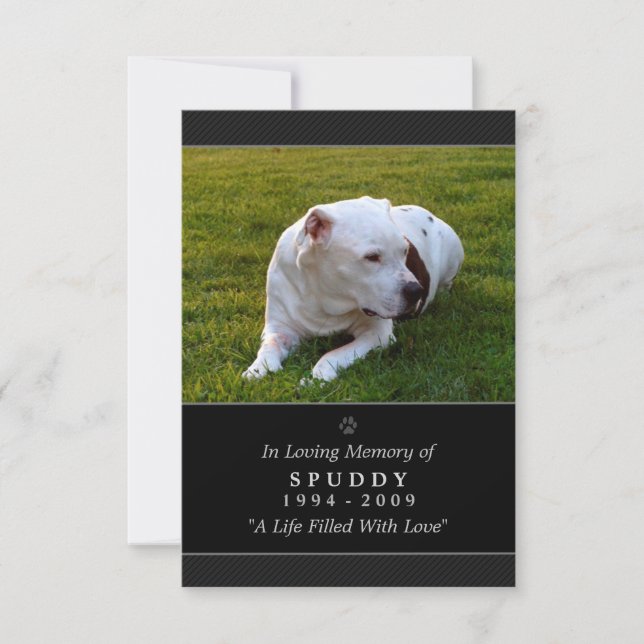 Pet Memorial Card 3.5 "x5" Schwarzes modernes Foto Einladung (Vorderseite)