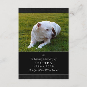 Pet Memorial Card 3.5 "x5" Schwarzes modernes Foto Einladung