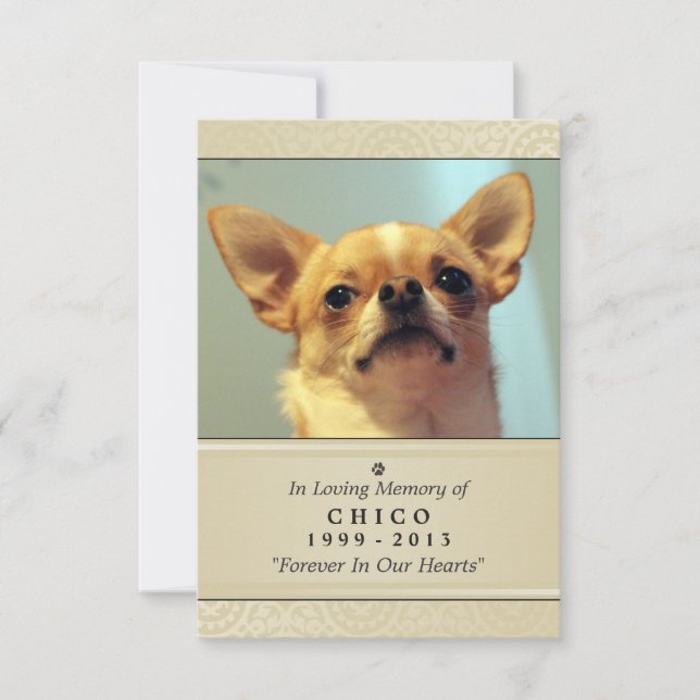 Pet Memorial Card 3.5" x 5" - Creme Modernes Foto Ankündigung (Vorderseite)