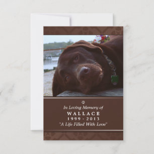 Pet Memorial Card 3.5" x 5" - Dunkelbraunes Foto Einladung