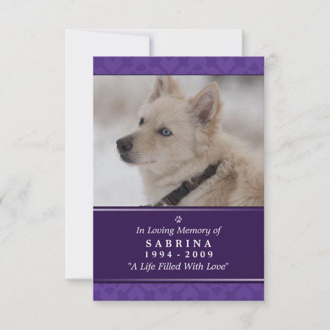 Pet Memorial Card 3.5" x 5" - Lila Foto Modernes Einladung (Vorderseite)