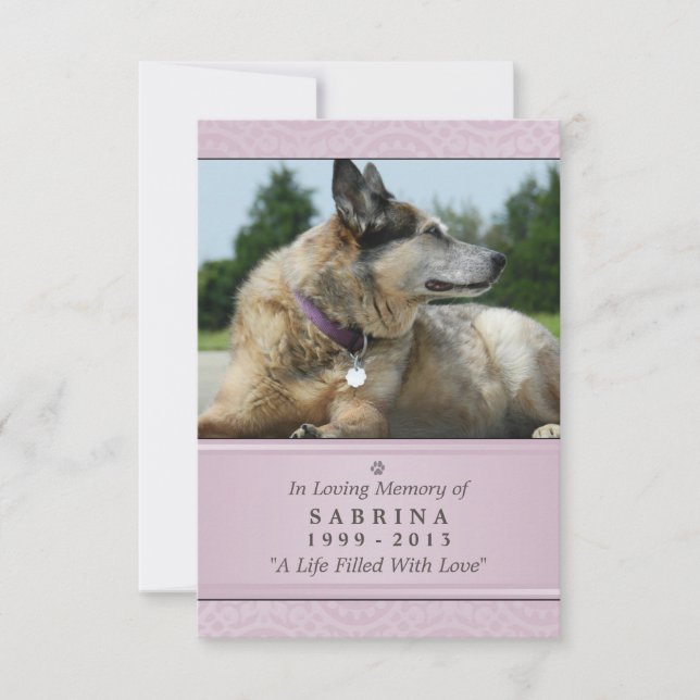 Pet Memorial Card 3.5" x 5" - Rosa Modernes Foto Ankündigung (Vorderseite)