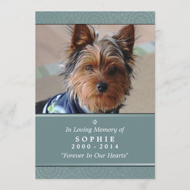 Pet Memorial Card 5"x7" Aquamarine Rainbow Bridge  Programm (Vorderseite)
