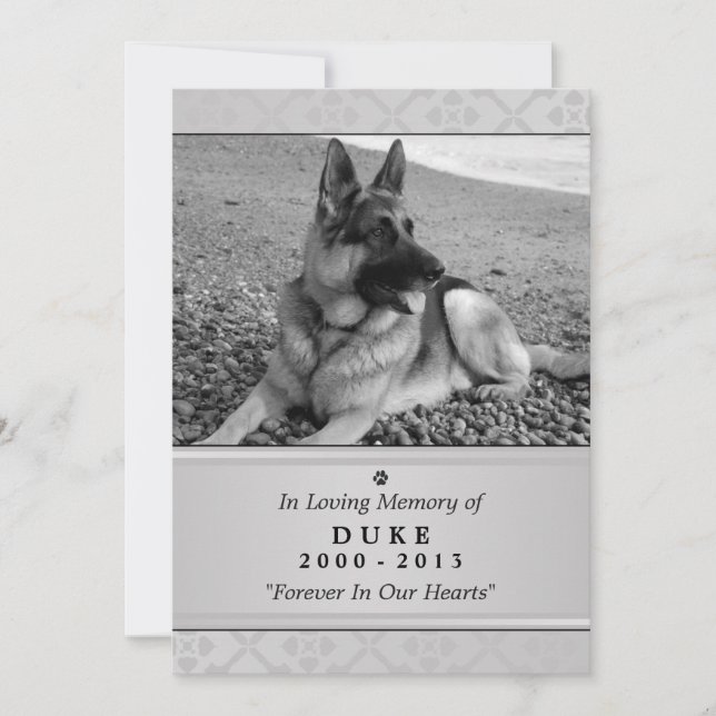 Pet Memorial Card 5"x7" Grau Modern - Männliche Ha Ankündigung (Vorderseite)