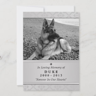 Pet Memorial Card 5"x7" Grau Modern - Männliche Ha Ankündigung