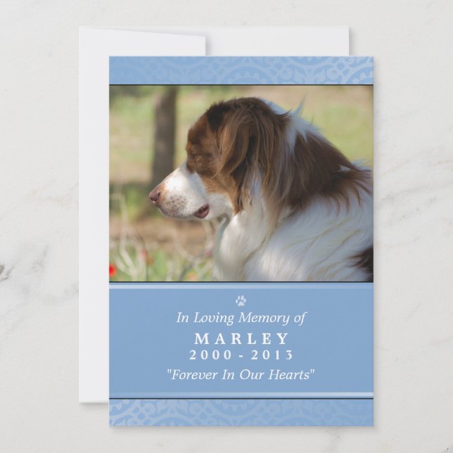 Pet Memorial Card 5"x7" Hellblaues Pet-Gebet Ankündigung (Vorderseite)
