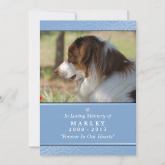 Pet Memorial Card 5"x7" Hellblaues Pet-Gebet Ankündigung