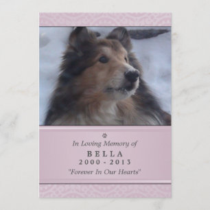 Pet Memorial Card 5"x7" Pink Modern - Weibliche Ha Programm