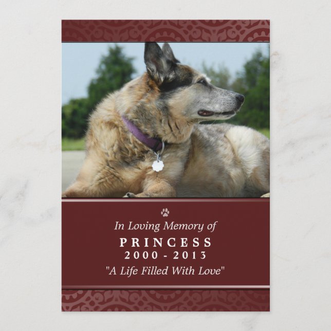 Pet Memorial Card 5"x7" Rainbow Bridge (Female) Programm (Vorderseite)