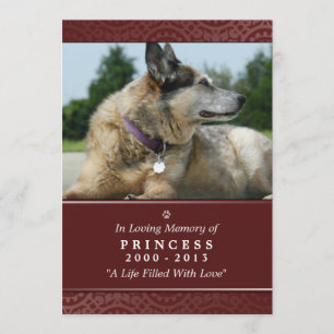 Pet Memorial Card 5"x7" Rainbow Bridge (Männlich) Programm