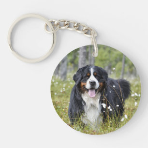 Pet Memorial Custom Chien Photo Rainbow Pet Perdre