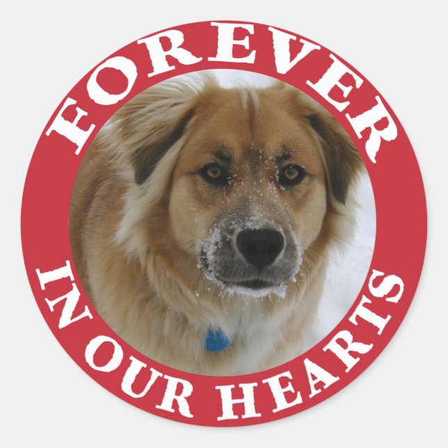 Pet Memorial Forever Holiday rot Runder Aufkleber (Vorderseite)