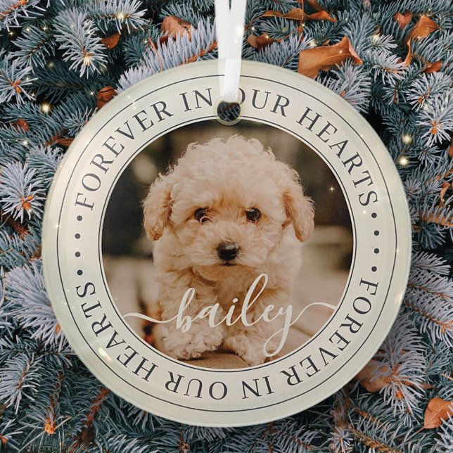 Pet Memorial Forever Hört Elegantes Chic Foto Ornament Aus Glas (Von Creator hochgeladen)