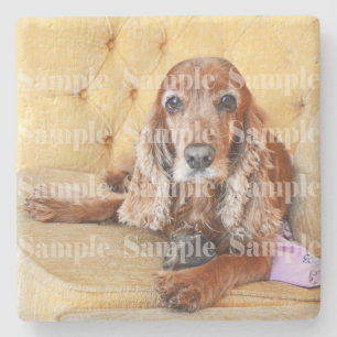 Pet-Memorial Foto PERSONALISIEREN Steinuntersetzer