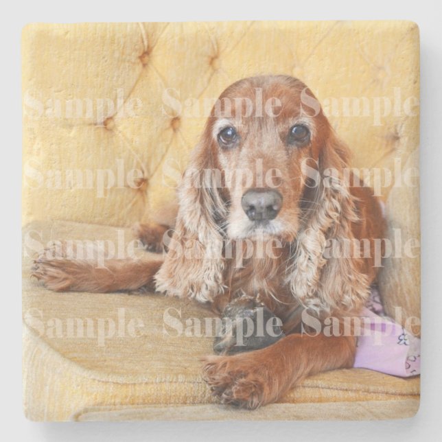 Pet-Memorial Foto PERSONALISIEREN Steinuntersetzer (Vorderseite)