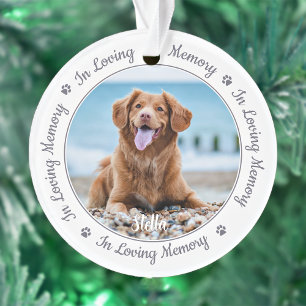 Pet Memorial In Loving Memory