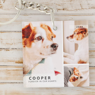Pet Memorial Modern Simple Geometry Photo Collage