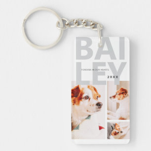 Pet Memorial Modern Simple Trois Photo Collage