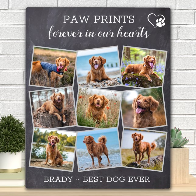 Pet Memorial Personalisiert Paw Prints Dog Foto Fotoplatte (Von Creator hochgeladen)