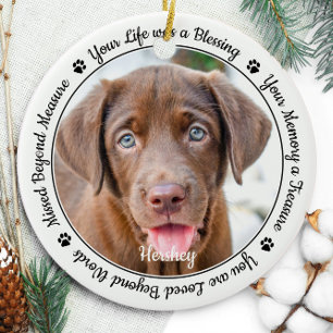 Pet Memorial Pet Loss Keepake Geschenk Hund Foto Keramik Ornament
