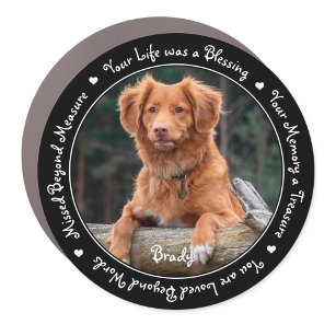 Pet Memorial Pet Loss Keepake Hund Foto Auto Magnet