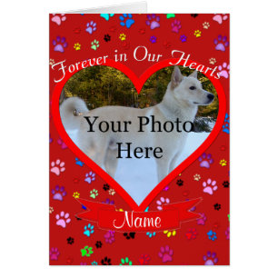 Pet Memorial pour toujours dans nos coeurs