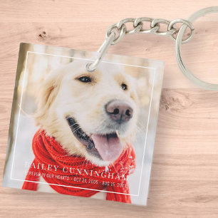 Pet Memorial Pour Toujours Dans Nos Coeurs Photo e